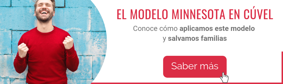 modelo-minnesota
