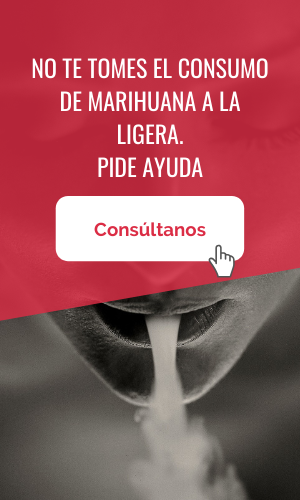 alucinaciones porros