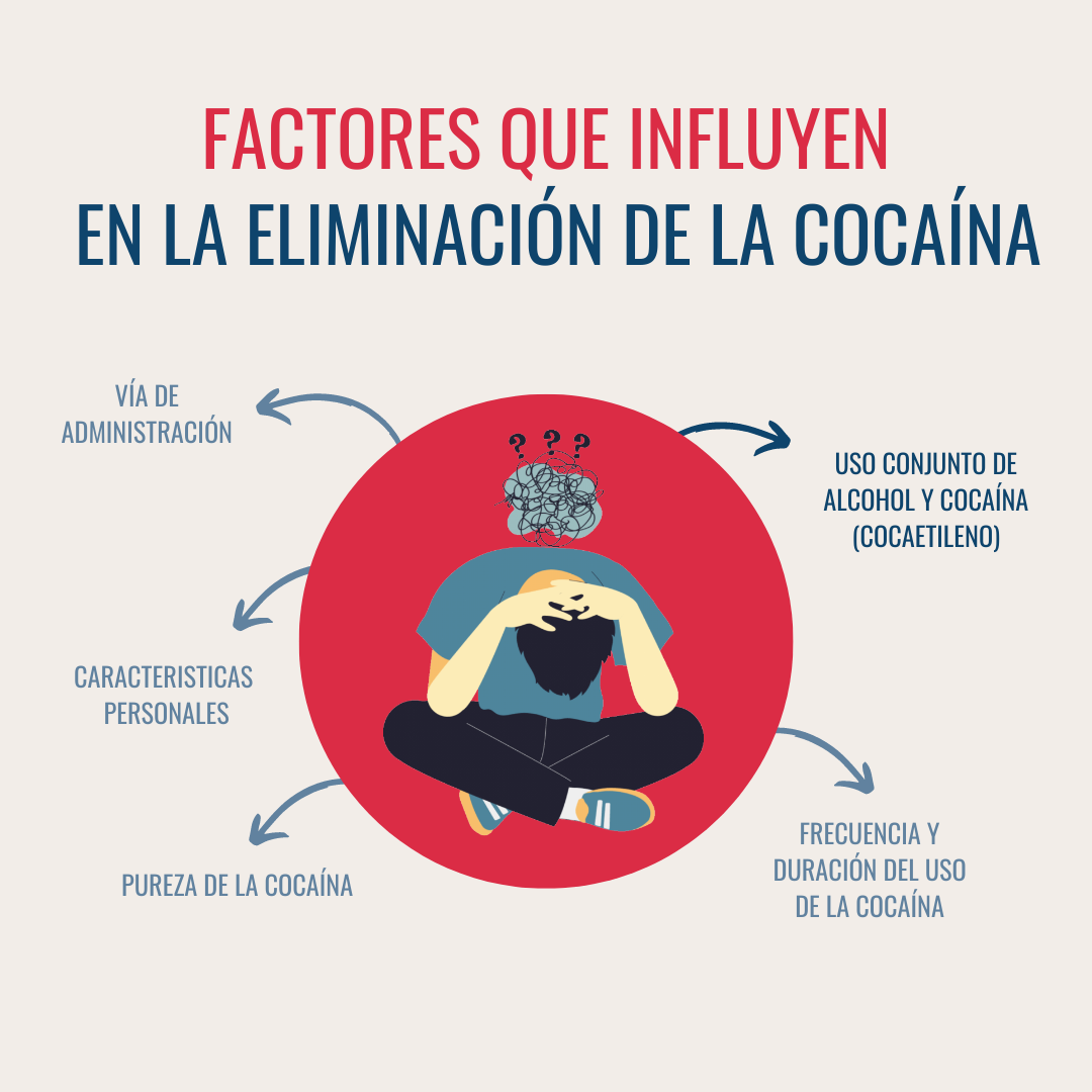 Factores que influyen en la eliminación de la cocaína del organismo